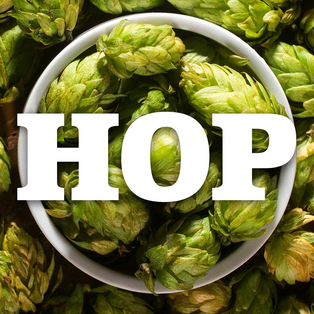 Hop es la palabra inglesa que denomina el lúpulo, protagonista de nuestro Glosario Cervecero.