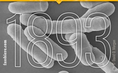 Historia de la cerveza: 1893