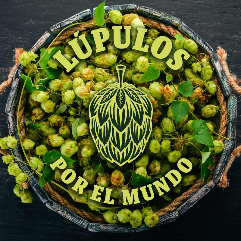 Lúpulos por el mundo, en Fassbiere